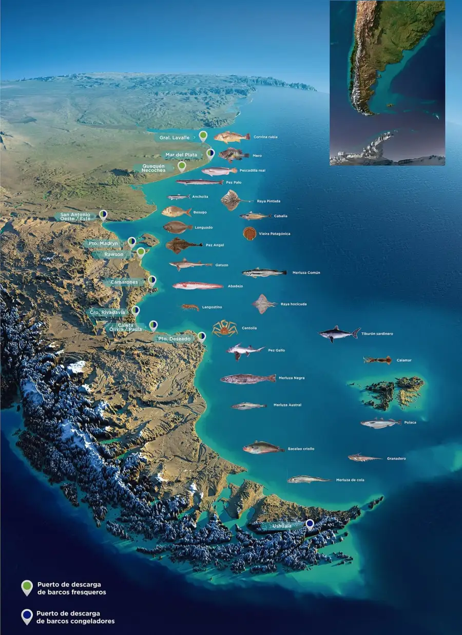 Pesca dañina en Mar Argentino