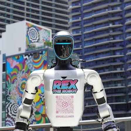 Rex the Robot