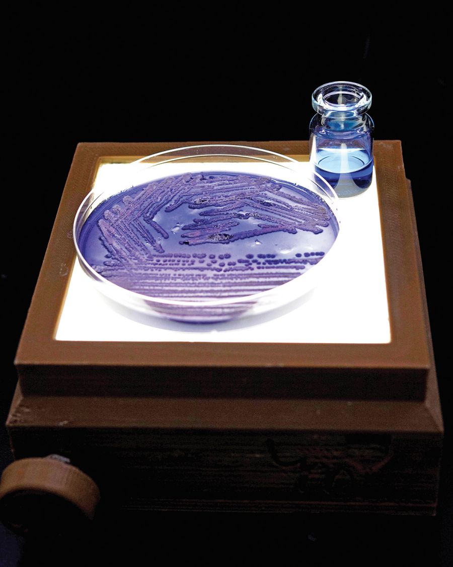 Telas Cultivables