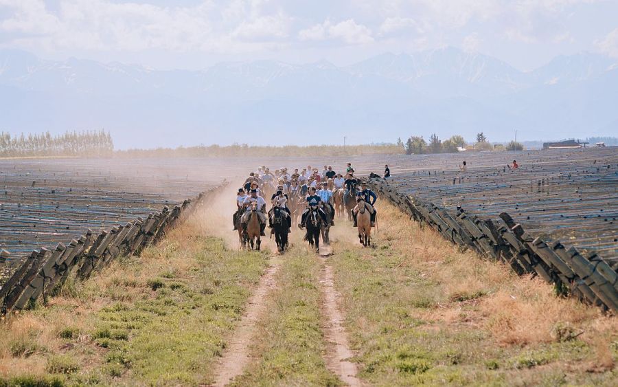 0708_DomaineBousquet