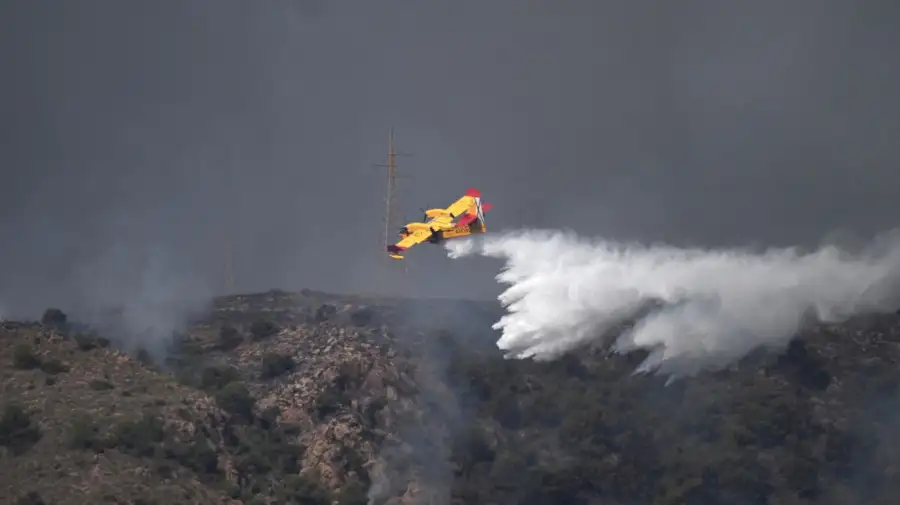 Incendios forestales en España 10072026