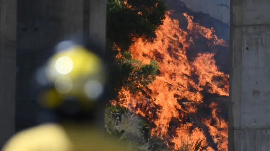 Incendios forestales en España 10072026