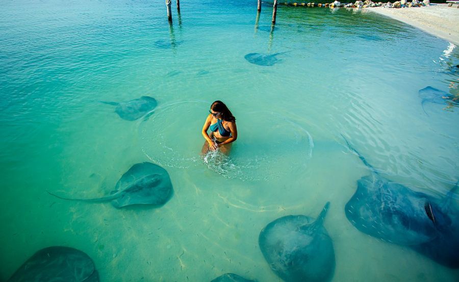 0714_belice