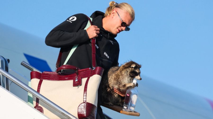 Erling Haaland y su mapache