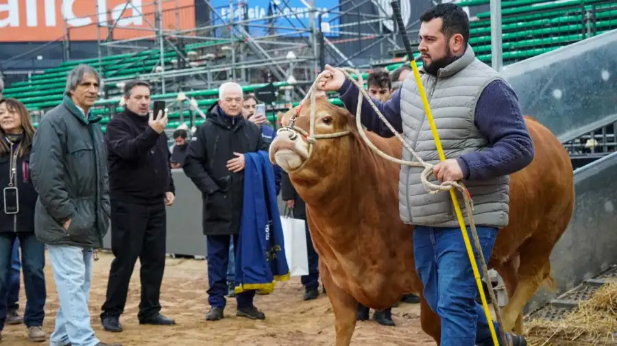 Expo Palermo 2026 14072026