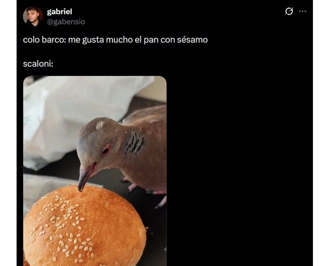 Memes del Colo Barco y Lionel Scaloni