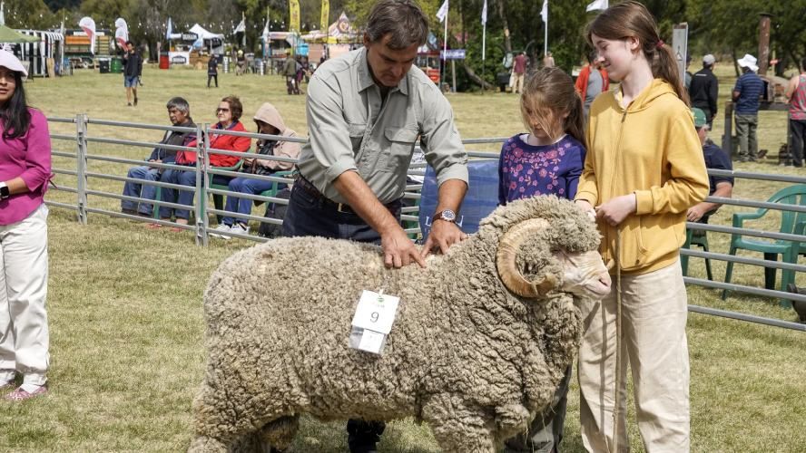 Feria Rural