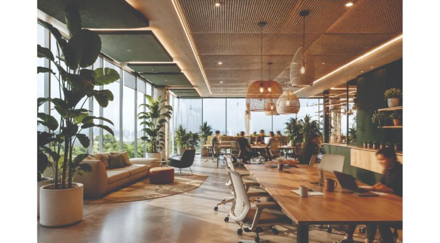 Vivir entre plantas: la ciencia que está rediseñando nuestros hogares y oficinas