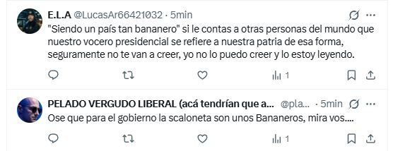 Respuestade X al vocero Ravier a su mensaje sobre Malvinas de este sábado...