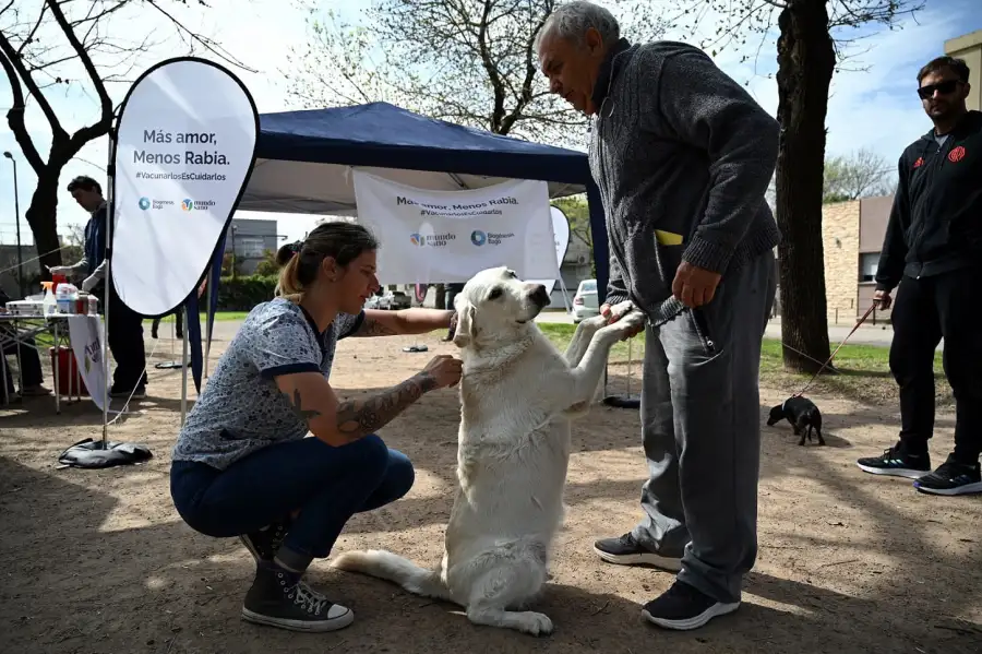 21Julio26Diadelperro