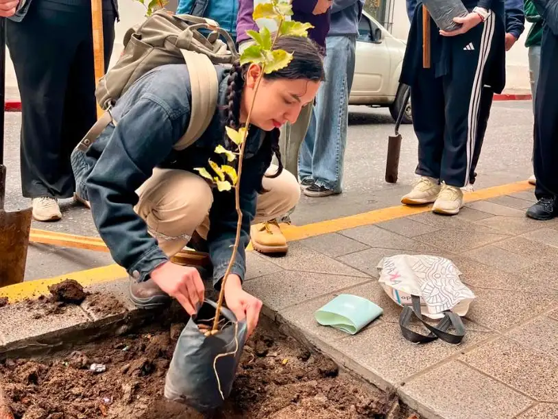 reforestando cordoba 1