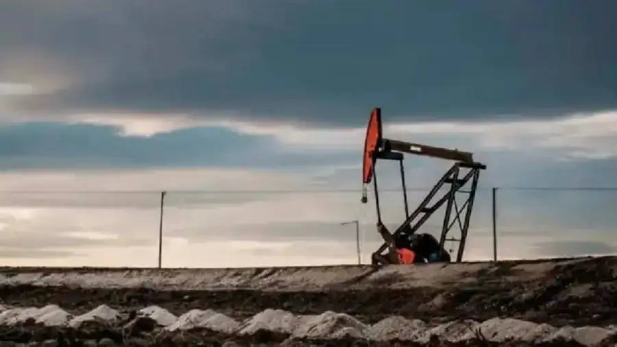 Petróleo
