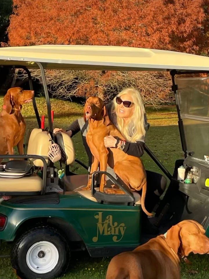 Susana Giménez con sus perros