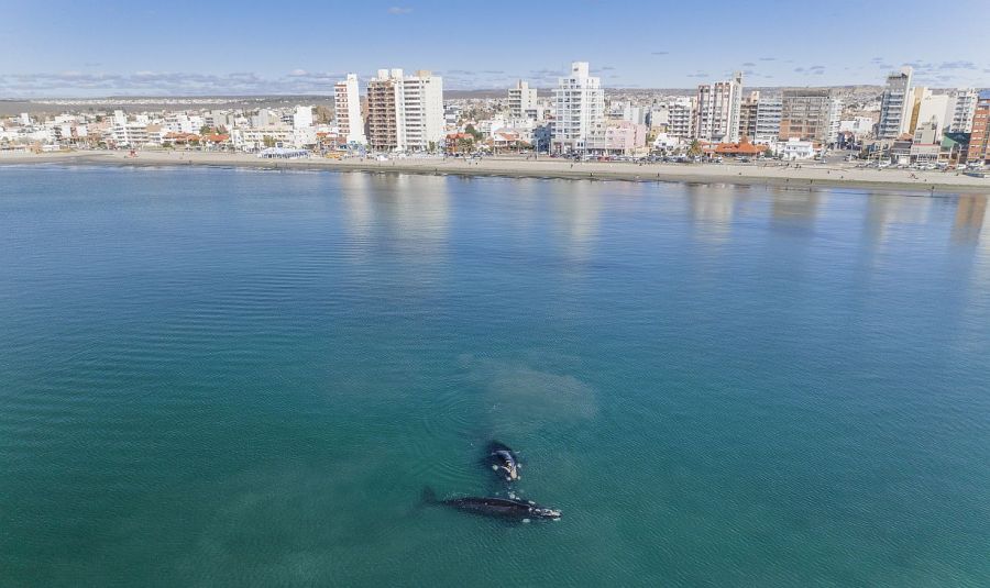 0722_madryn