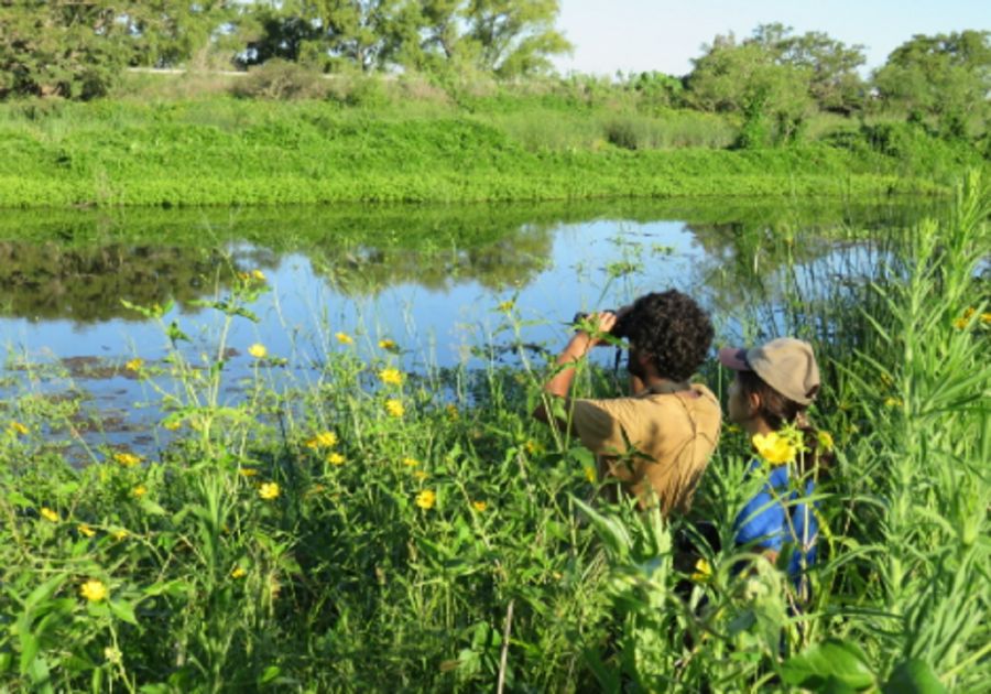 2207_escuela argentina de naturalistas