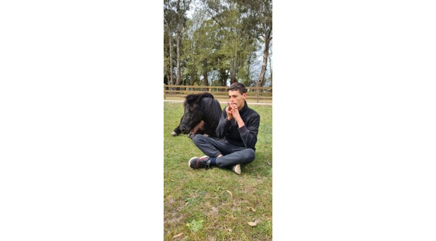 Fundación Emociones al Galope: El poder terapéutico de los caballos que transforma vidas