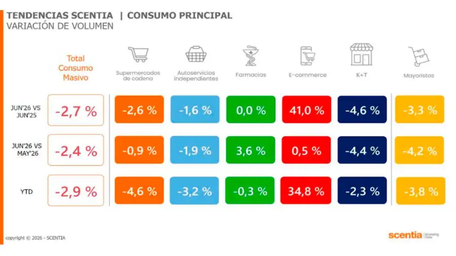 Gráficos Consultora Scentia 23072026