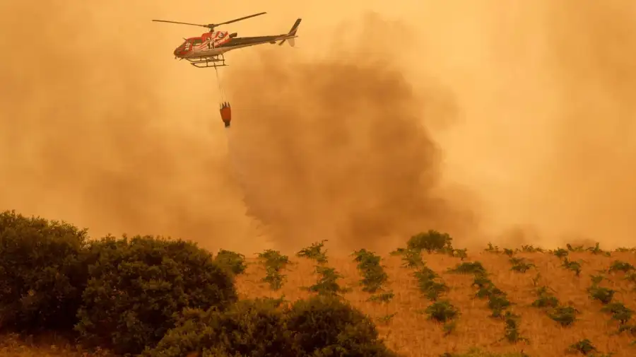 España: Incendios forestales 24072026