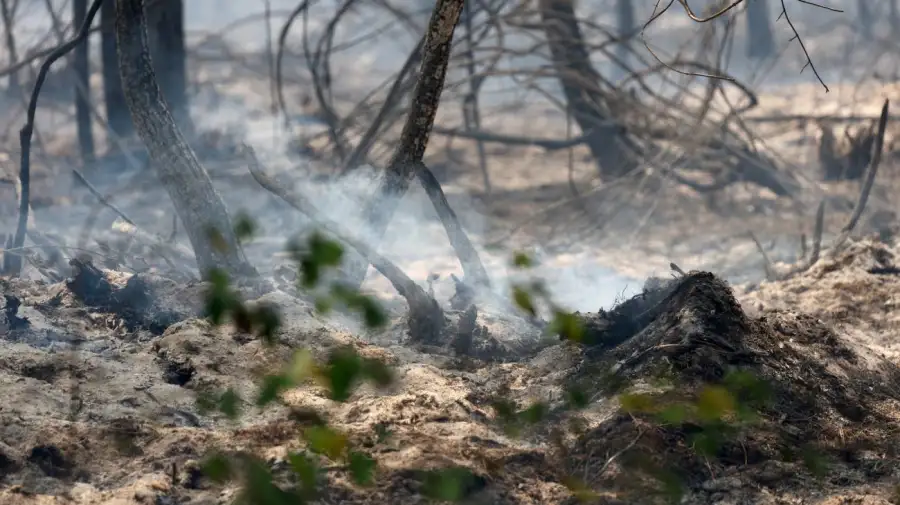 Incendios forestales en Francia 24072026
