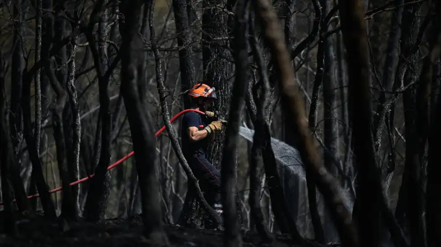 Incendios forestales en Francia 24072026