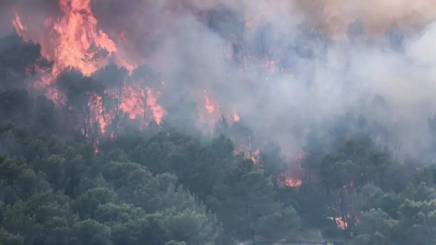 Incendios forestales en Francia 24072026