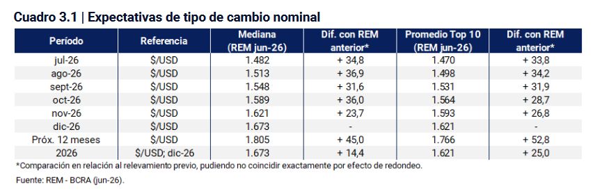 Tipo de cambio REM junio 2026