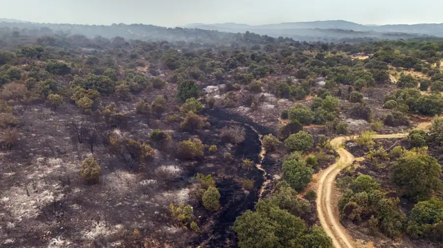 Incendios forestales en España 25072026