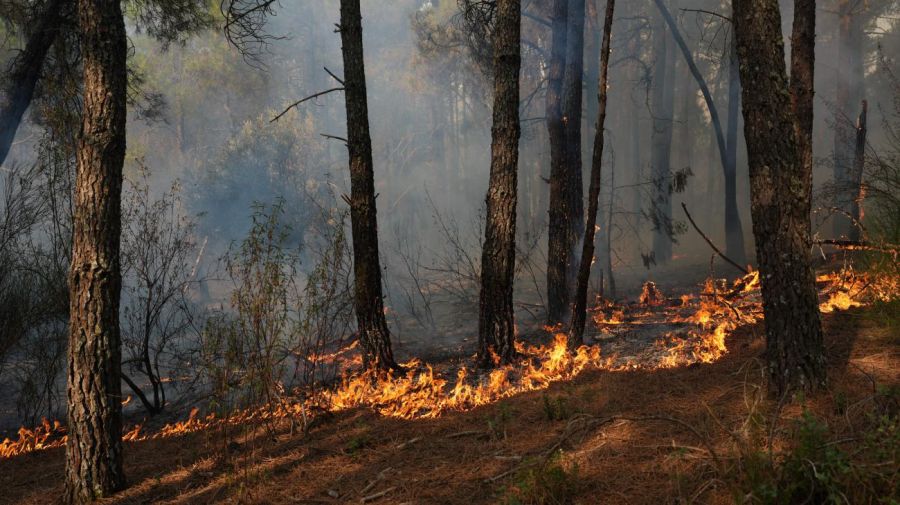 Incendios forestales en España 25072026