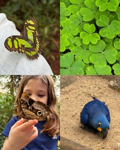 Vacaciones de Agustina Cherri y sus hijos en Cataratas del Iguazú 