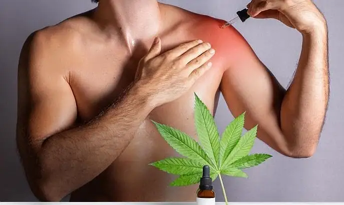 Cannabis usos Argentina