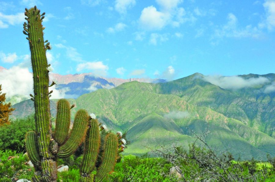 0729_larioja