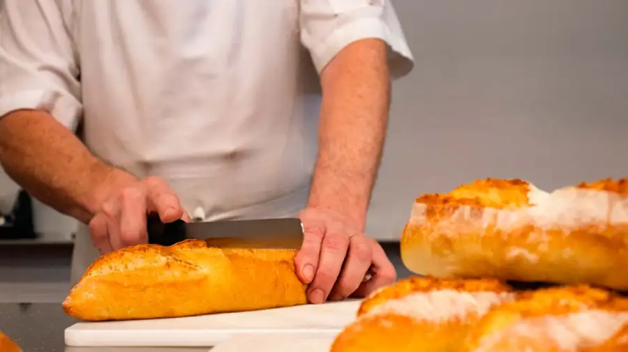 Gastronómicos 29072026