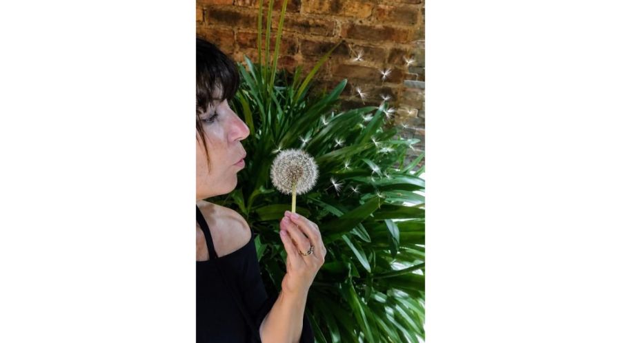 Vivero en casa, un rincón que crece conmigo