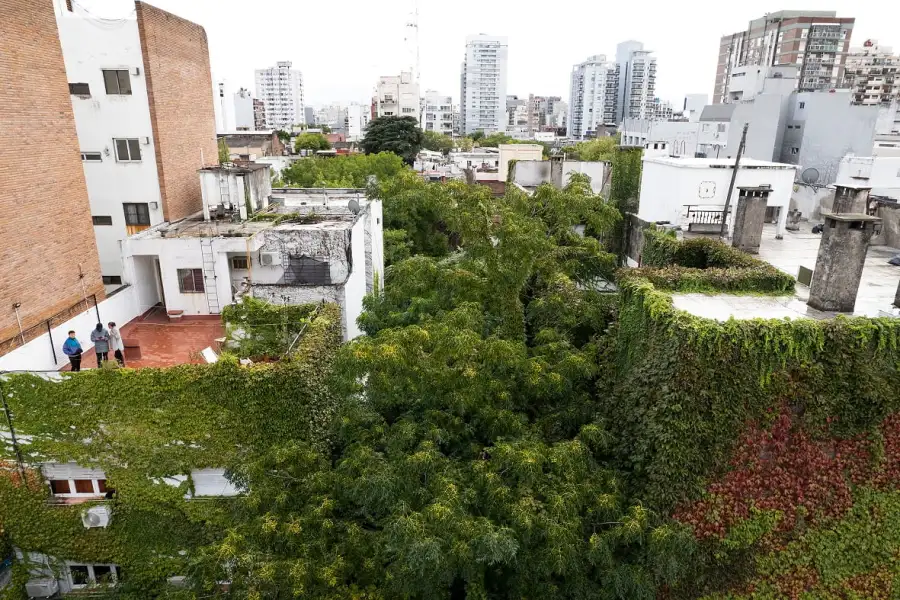 MicroreservaAlmagro