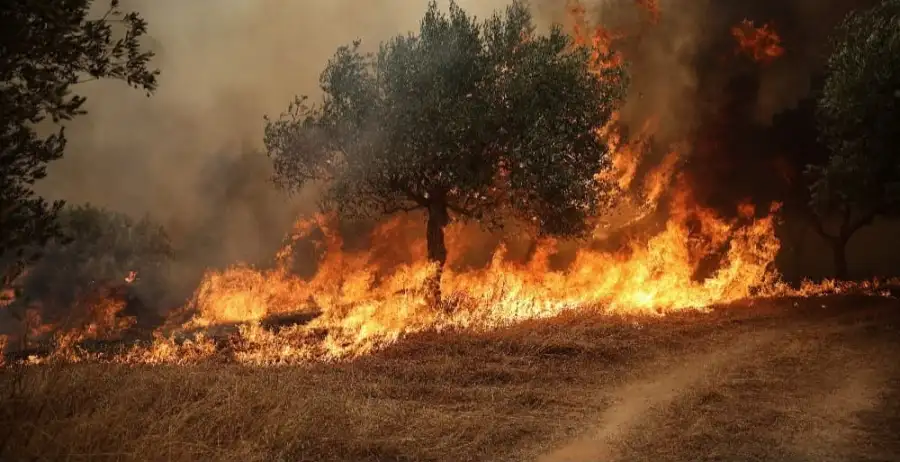 Incendios en Grecia
