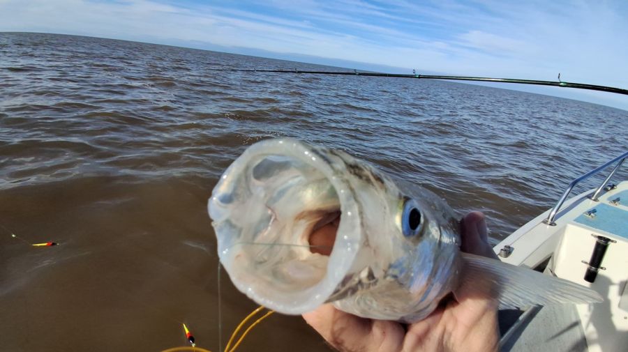 0308_riodelaplata