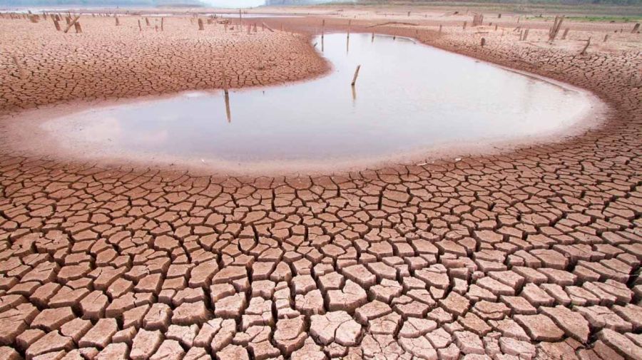 El Niño 03082026