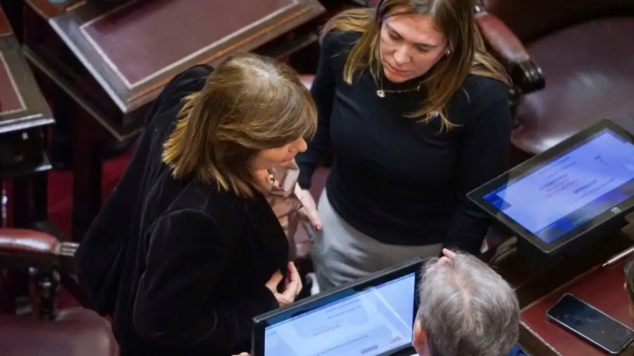 El Senado debatió en sesiones anteriores el proyecto de Propiedad Privada