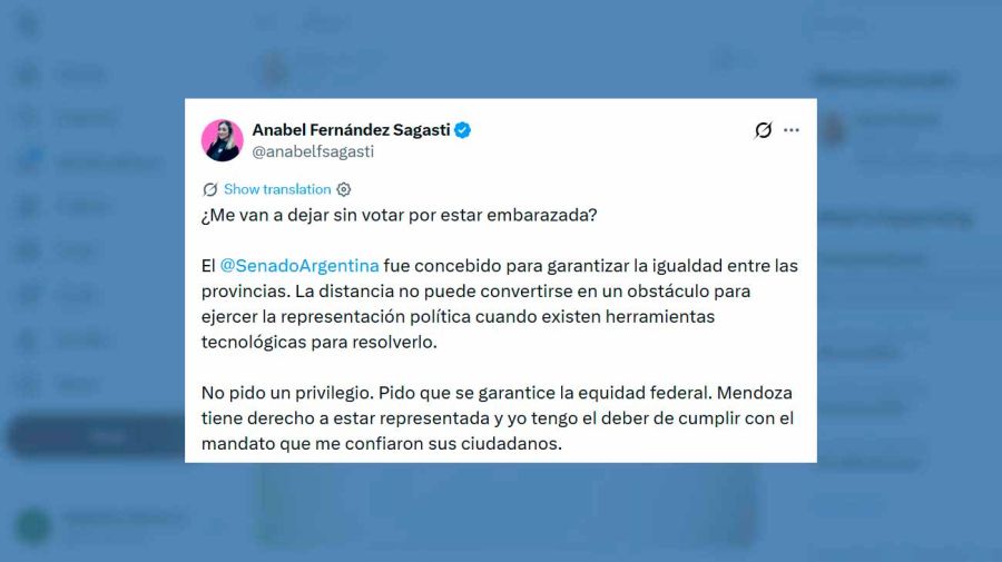 X Anabel Fernández Sagasti 04082026 