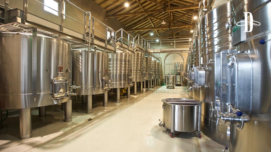Bodega Casarena en Delirio