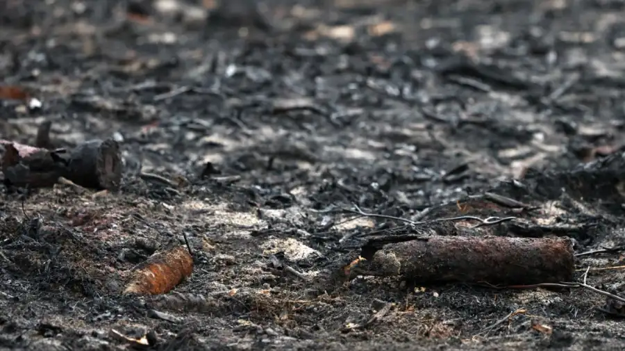 Incendios forestales en Francia dejan al descubierto proyectiles de la Segunda Guerra Mundial