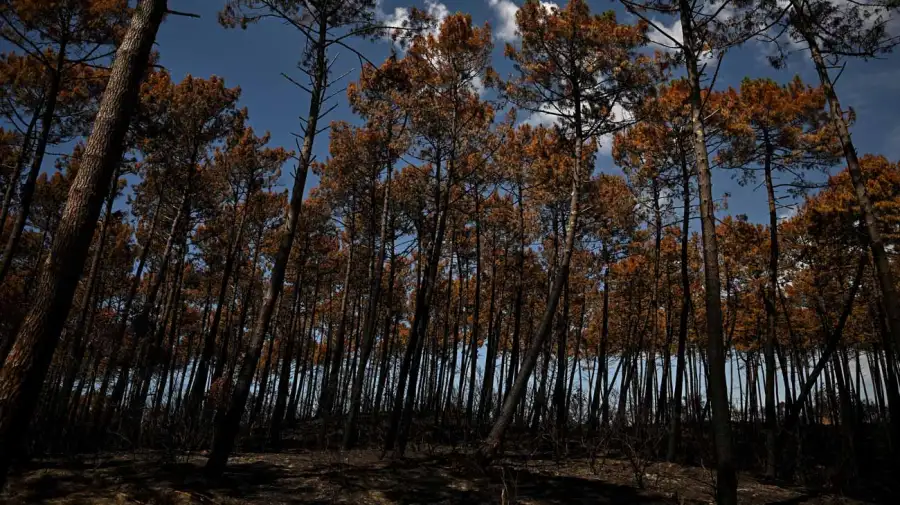 Récords de temperatura y severa sequía 04082026