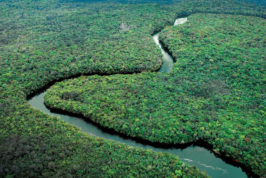 Relatorio Natura