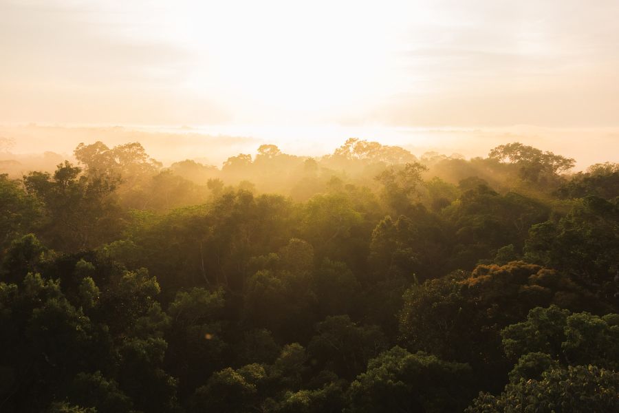 Relatorio Natura