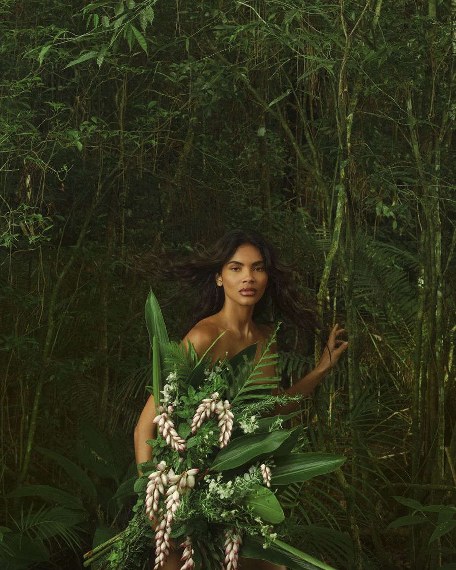 Relatorio Natura