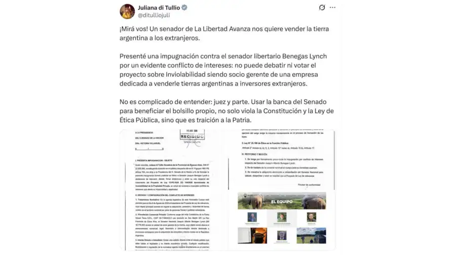Juliana di Tullio X 05082026