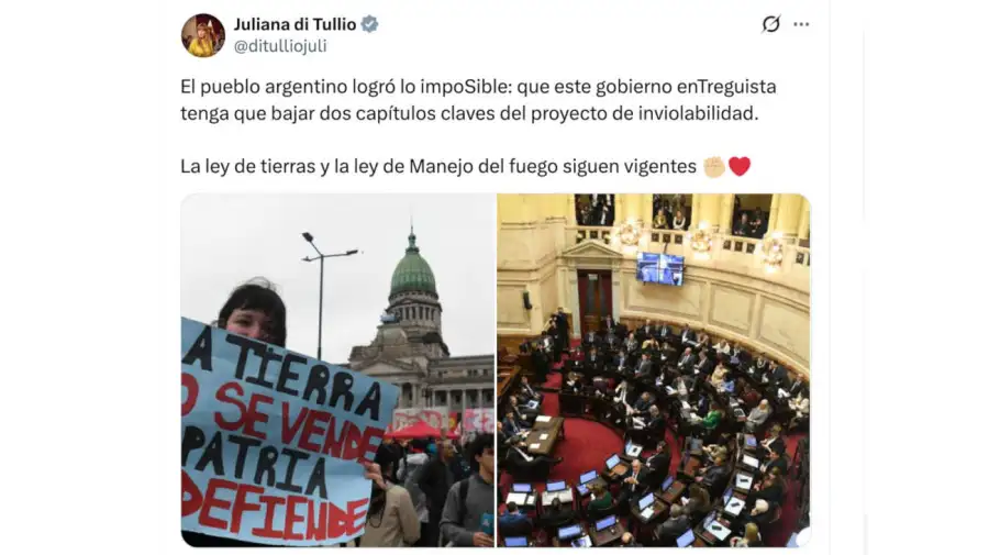 Juliana di Tullio X 07082026
