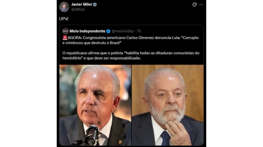 Javier Milei en redes sociales.