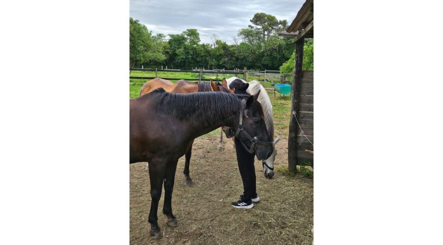 No hace falta saber montar: así es una sesión real de Coaching con Caballos