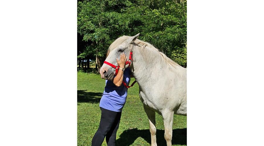 No hace falta saber montar: así es una sesión real de Coaching con Caballos